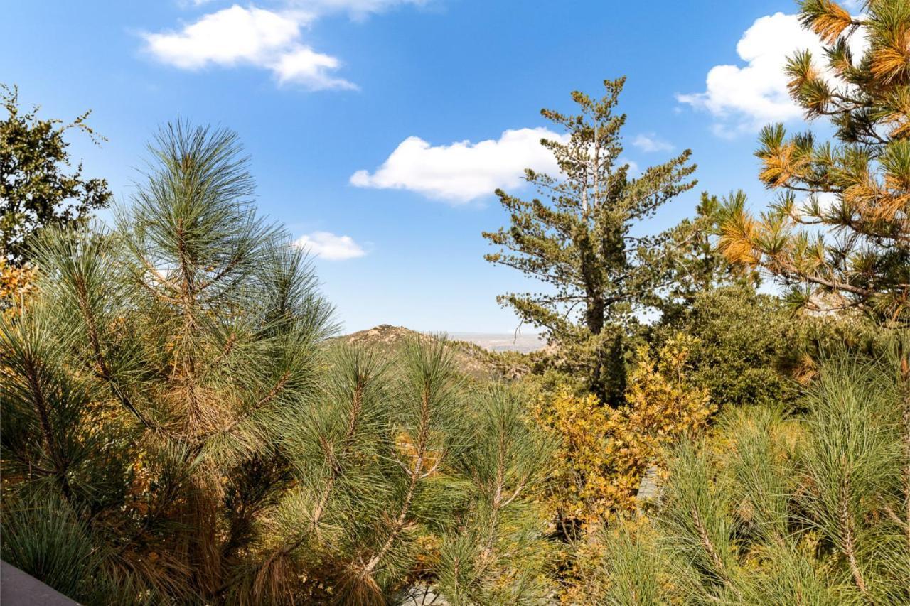 Ev Level 2, Pets Welcome At Sunset Ridge Lake Arrowhead Exterior foto
